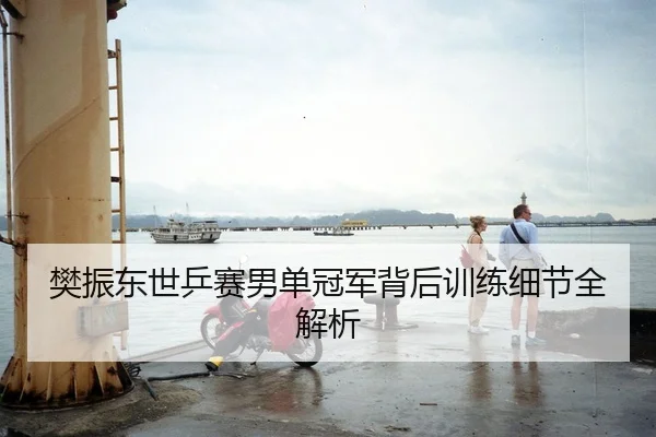 樊振东世乒赛男单冠军背后训练细节全解析
